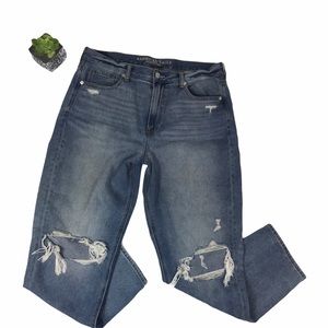 American Eagle Women’s Ripped Destroyed Mom Jeans